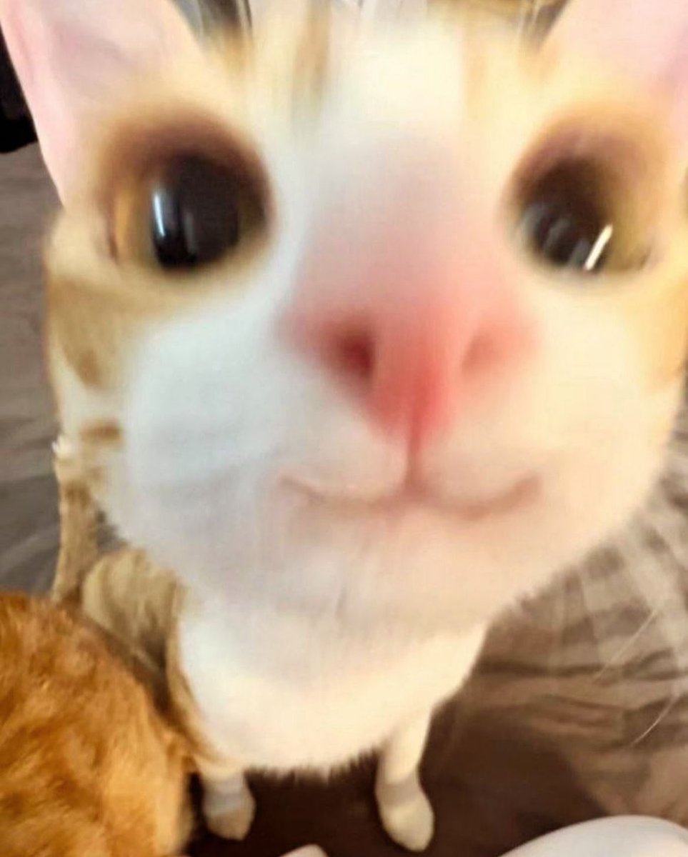 Me levanto en 2hs y media, ayuda el insomnio ataca