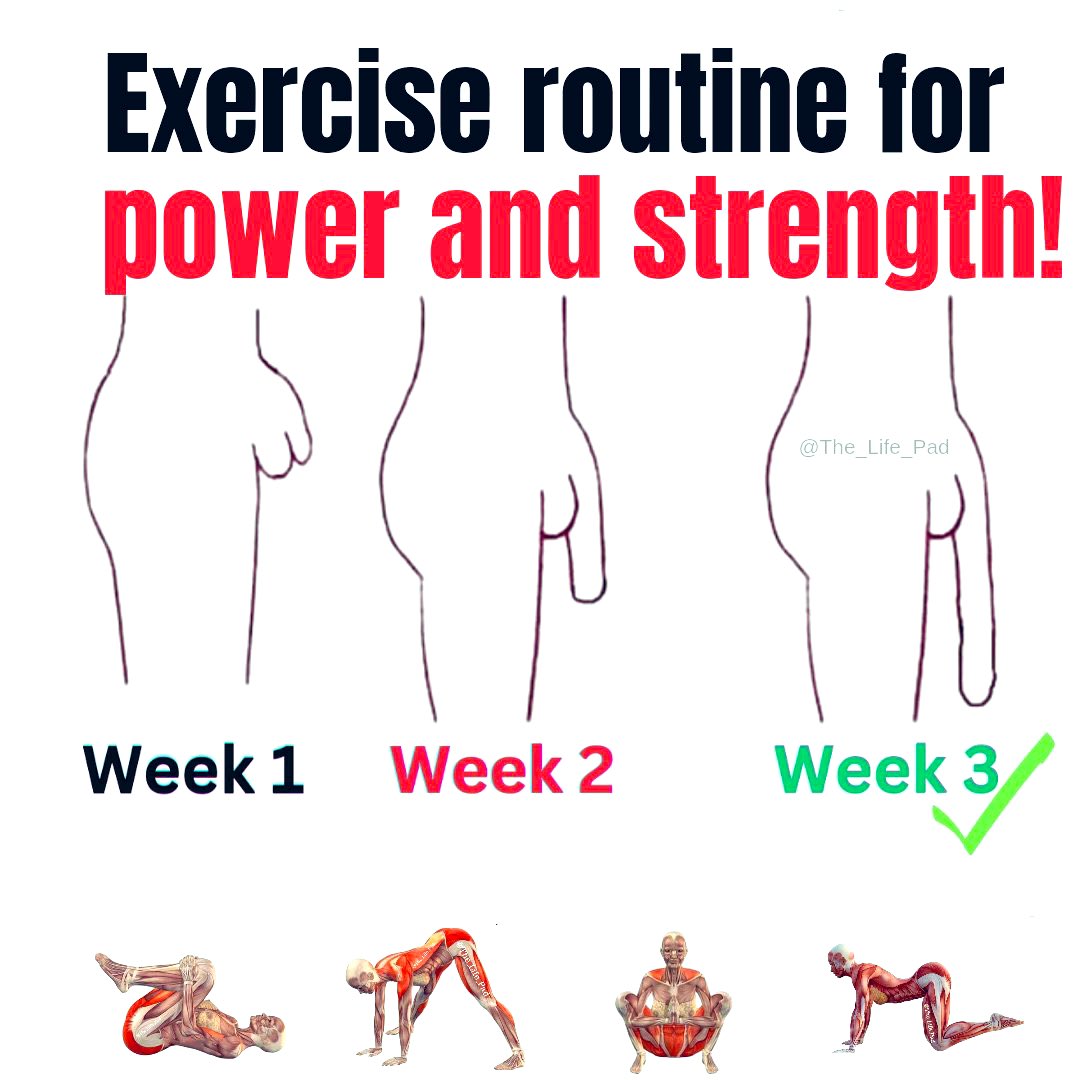 2 weeks exercise routine for power and strength, to make your Dragon 🍆bigger and stronger during action.
 
#Thread