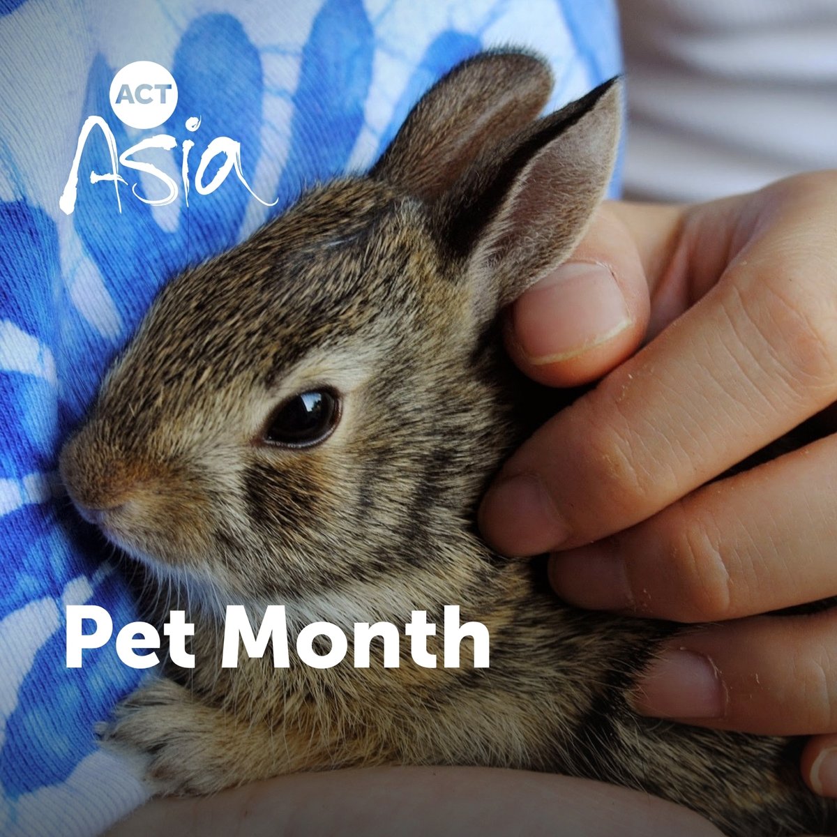 It's National Pet Month! We never miss a chance to celebrate our furry, feathery, scaly friends! 🐶🐱🐥🐟 Post a pic of your pet - but no costumes or exotic animals please! #CrueltyFree #CompassionForAnimals