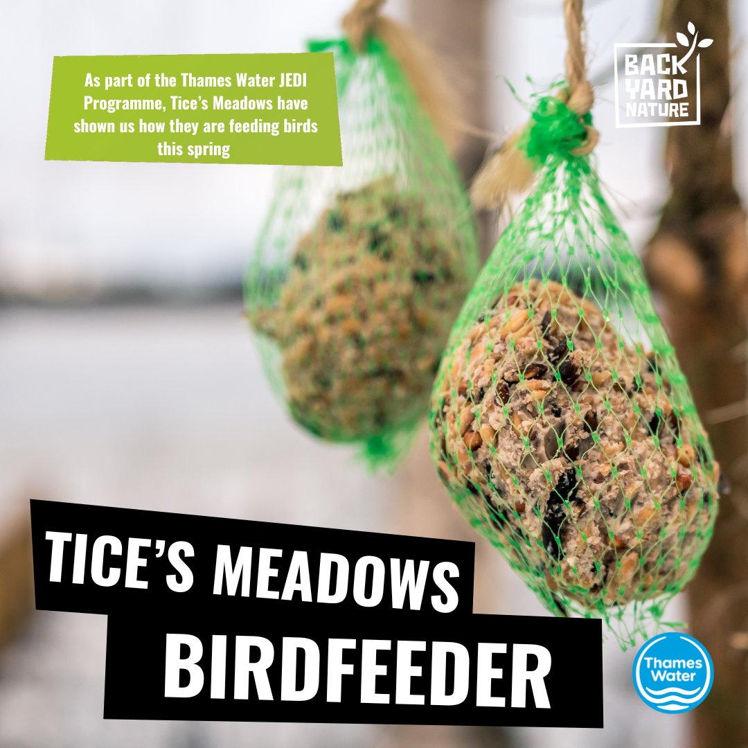 The clocks have gone forward, #Spring is officially here! 🌻

As we welcome new life to our patch there are many ways to support wildlife! 

<a href="/TicesMeadow/">Tice’s Meadow Bird Group</a> and Parkside show use  us how they keep birds fed this spring and you can too! youtu.be/UicSwzmaYXA

<a href="/thameswater/">Thames Water 💧</a>