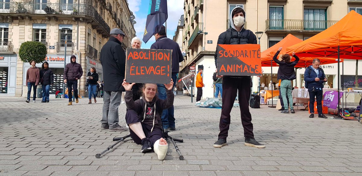 LaSentiente's tweet photo. Présente pour la #JMFP (Journée Mondiale pour la Fin de la Pêche) à #Rennes même avec une patte cassée 🐟✊ https://t.co/XB2R6zYTOu