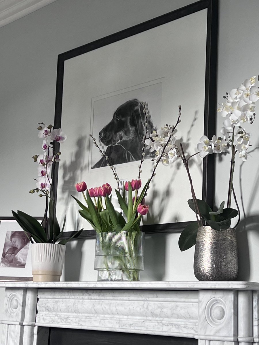 Flowers in the bedroom are such a lovely thing to wake up to. No time for a lie in though jobs to do. More seeds to sow and seedlings to pot on today. What jobs are you getting on with ?