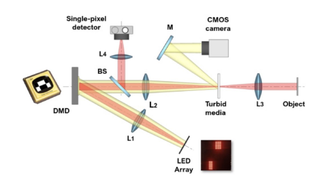 pablo_artal's tweet photo. NEW paper just published in #OpticsExpress @OpticaWorldwide @OpticaPubsGroup
Single-pixel imaging through non-homogeneous turbid media with adaptive illumination
By Ipus et at. @PhotonicsUji @UJIuniversitat
@lo_um @UMU
@ETajahuerce @alba_paniaguad
https://t.co/sFHXuAZgED https://t.co/dSPlRLlenL