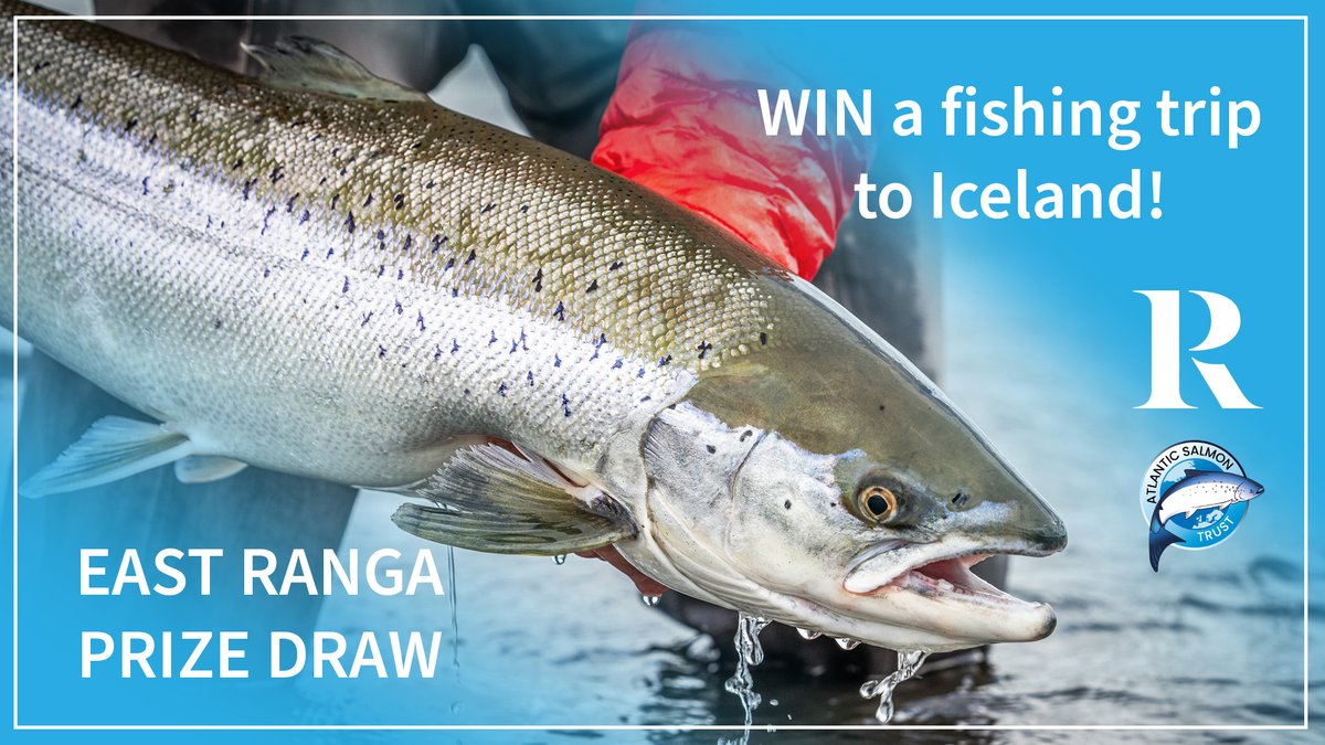 🎣 WIN a fishing trip for 2 to East Ranga, Iceland! 🎣 Visit 👉 bit.ly/east-ranga-pri… to enter our Spring Prize Draw to be in with a chance of winning the trip of a lifetime this summer. Ts&Cs apply Image credit: Matt Harris #flyfishing #salmonfishing