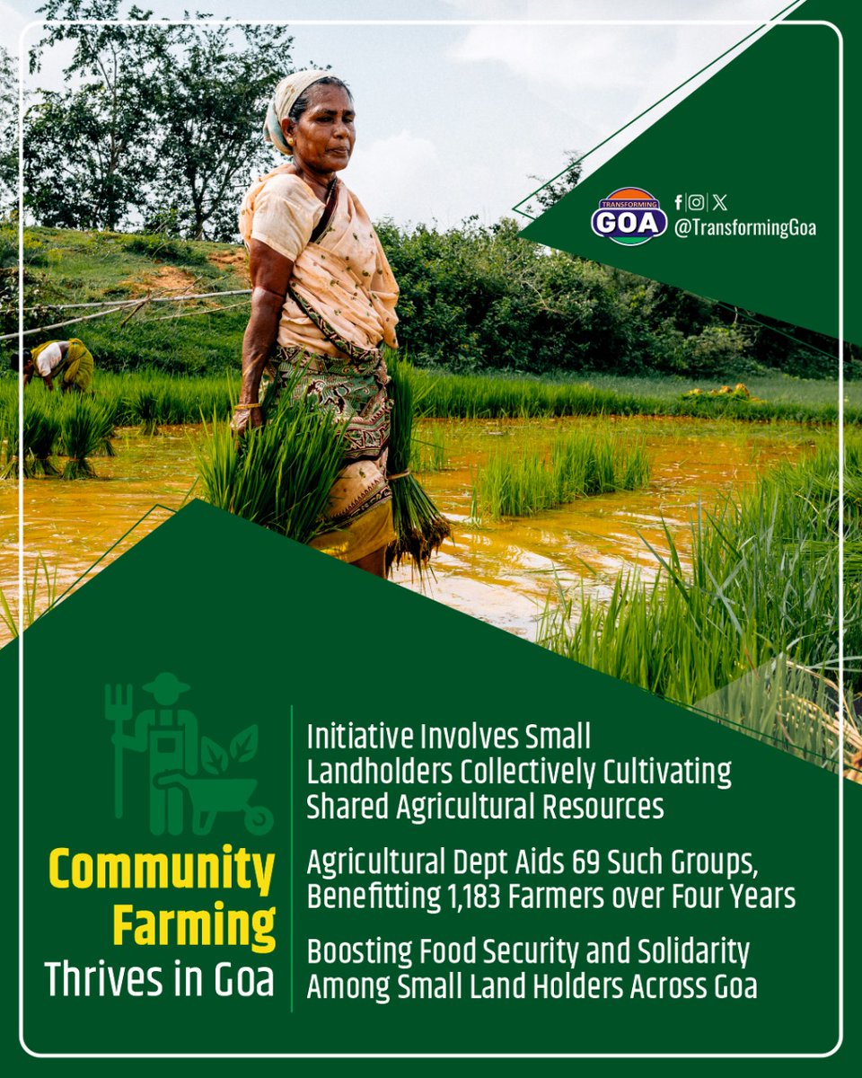 TransformingGoa's tweet photo. Community Farming Thrives in Goa
#goa #GoaGovernment #TransformingGoa #facebookpost #bjym #bjymgoa #GoaFarmingCommunity #AgriculturalSolidarity #SmallLandholders #FoodSecurity #SustainableAgriculture #CollectiveFarming #CommunityAgriculture #GoaAgriculture #FarmersSupport https://t.co/KzKziCD9H2