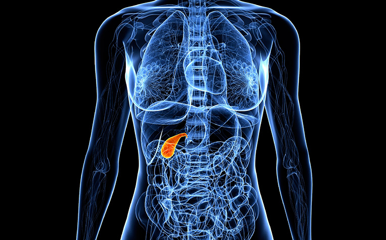 private_sono's tweet photo. Gallbladder cancer is a relatively rare but often aggressive type of cancer that forms in the gallbladder, a small organ located beneath the liver that stores bile, a fluid produced by the liver to digest fats.
#AbdominalUltrasound #Gallbladdercancer

https://t.co/uS5x7YRU9K https://t.co/V9LjcdUB9Y