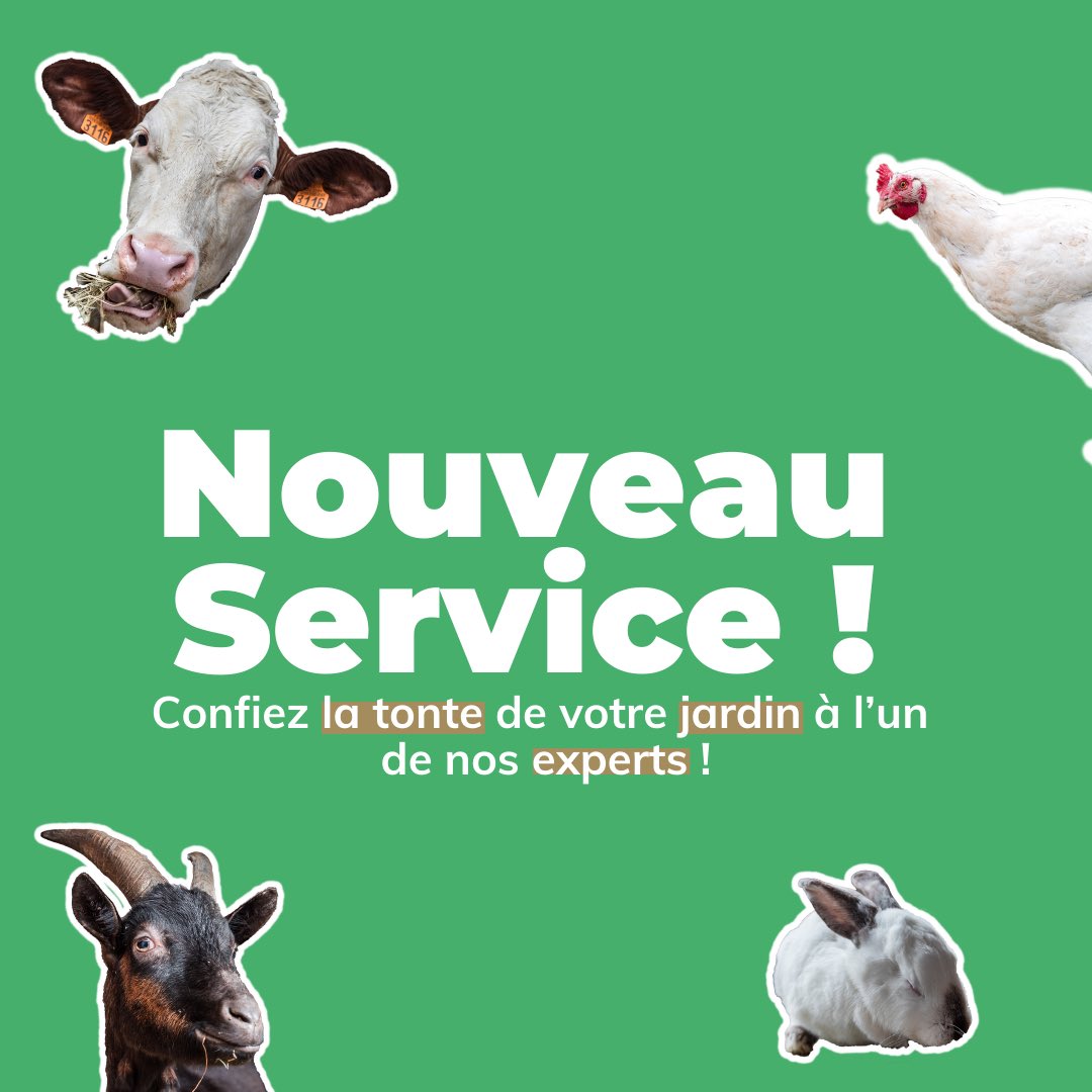 combloux's tweet image. Disponibles dès aujourd’hui ! 💩 🐮 

#combloux #montagne #tourisme #tourismedurable
