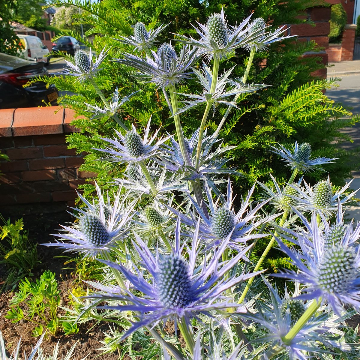 Chorley Sheds tweet media