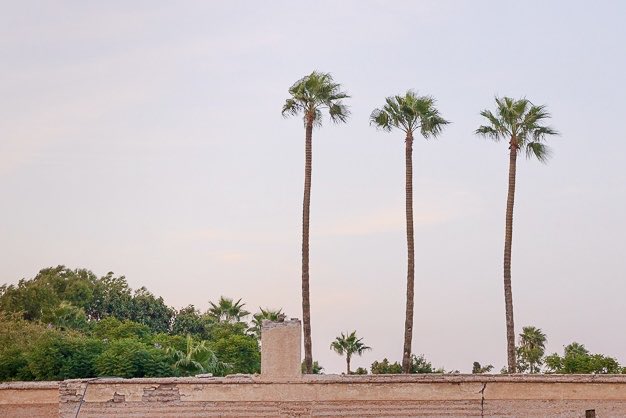 bcohenhadad's tweet image. #pâques #pâque #fête #pessah
📣 «les Pâques» ou «la Pâque» ? 
📕 Au début de la chrétienté orientaux et romains ne célébraient pas «Pâque» le même jour «les Pâques». Affaire réglée depuis le concile de Nicé. Les juifs suivent leur coutume d’une «Pâque» le 14 nisan…