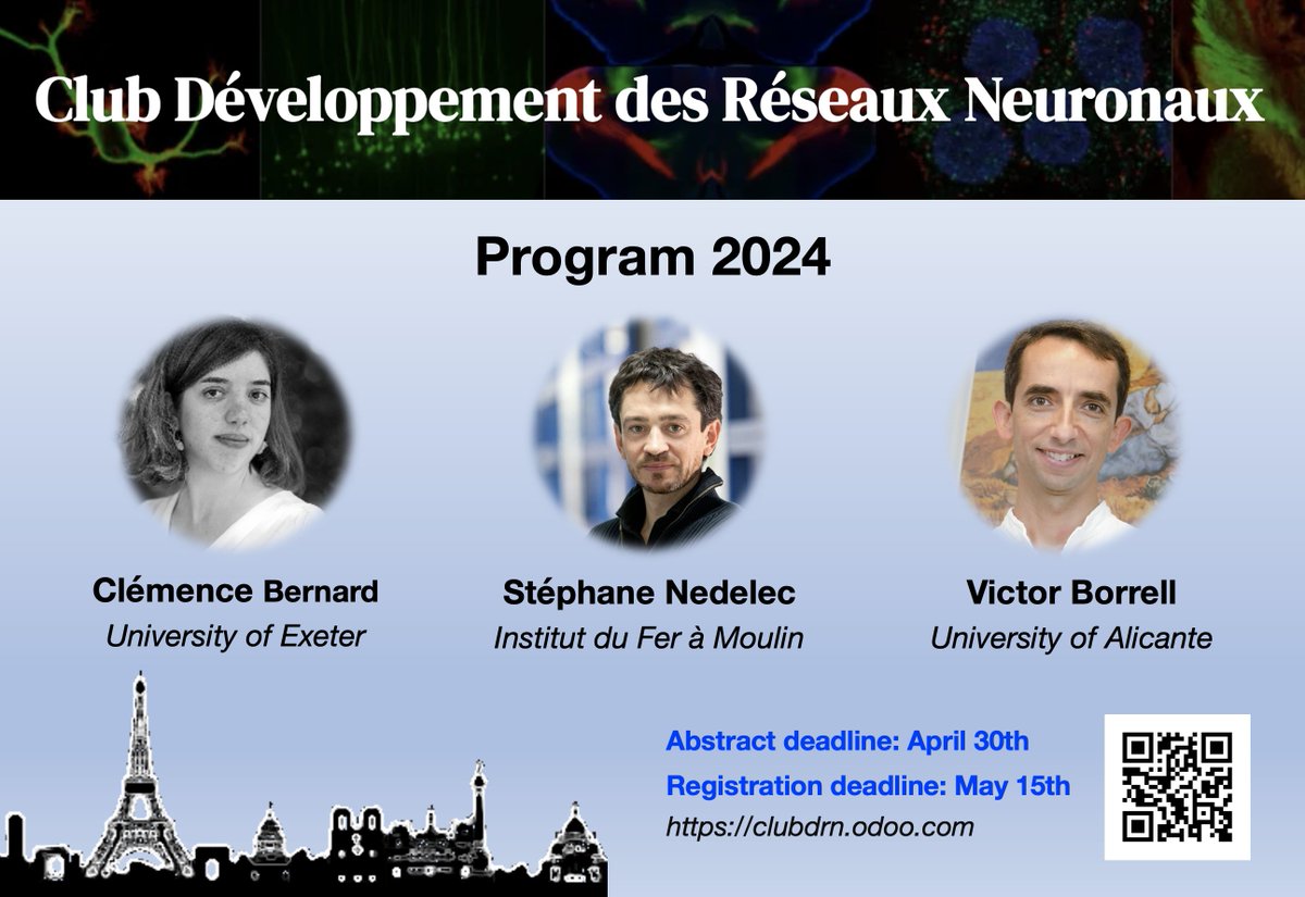 One month left to register for the Neural Network Development club #ClubDRN May 31st at @IFM_NEURO Submit an abstract for a talk alongside @clembrnrd @stef_nedelec @BorrellLab Registration: clubdrn.odoo.com