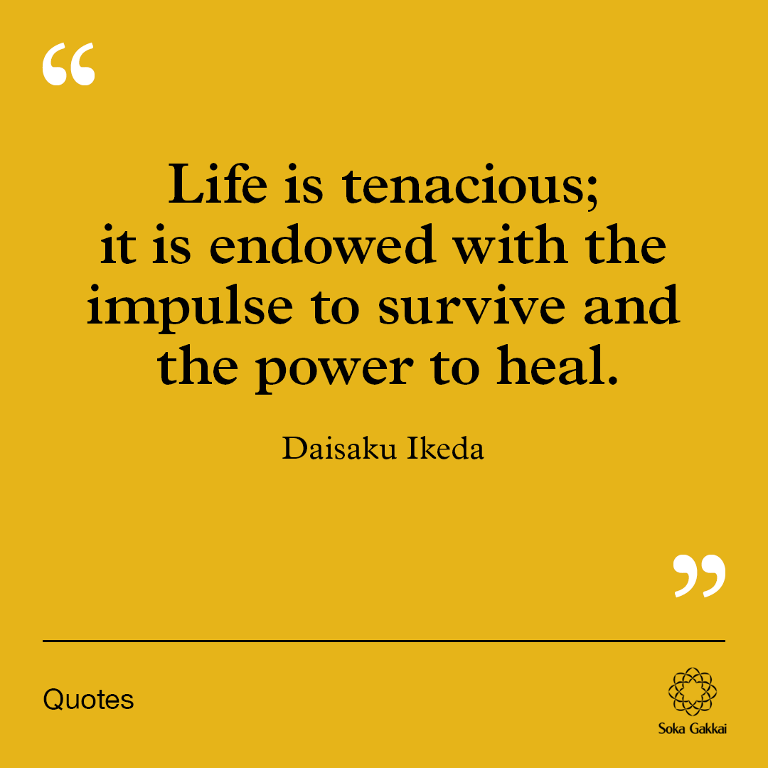 “Life is tenacious; it is endowed with the impulse to survive and the power to heal.”— @daisakuikeda_of
Discover more quotes on health & wellness. 💪🌱
daisakuikeda.org/sub/quotations…
#SokaGakkai #BuddhisminAction #health #wellness