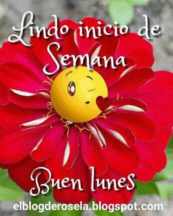 <a href="/Achinech66/">Achinech🏴󠁧󠁢󠁳󠁣󠁴󠁿</a> <a href="/ado243274511/">Ghost👻💜🧑‍🦱🐱</a> <a href="/Martina74186414/">Martina</a> <a href="/MAYKA831418238/">MAYKA</a> <a href="/rosa_lourido/">Rosa</a> <a href="/Luna_llena_7/">Luna</a> <a href="/Sar98Bierzo/">Sar</a> <a href="/Alba_lor/">Mbel.co.2810</a> <a href="/NaranjoMay21387/">Sandra</a> <a href="/Nuria299Nuria/">nuria</a> <a href="/mariola09763683/">mariola</a> @Sofie0176 <a href="/mainati20/">Mai</a> <a href="/siemprenela/">Flor 🔻♀️🔴🟡🟣</a> <a href="/CaitrionaCe/">CaitrionaCE</a> <a href="/maytearias42/">⋇⋇🔻📚Mi vida es mía, de nadie más. ⋇⋇</a>