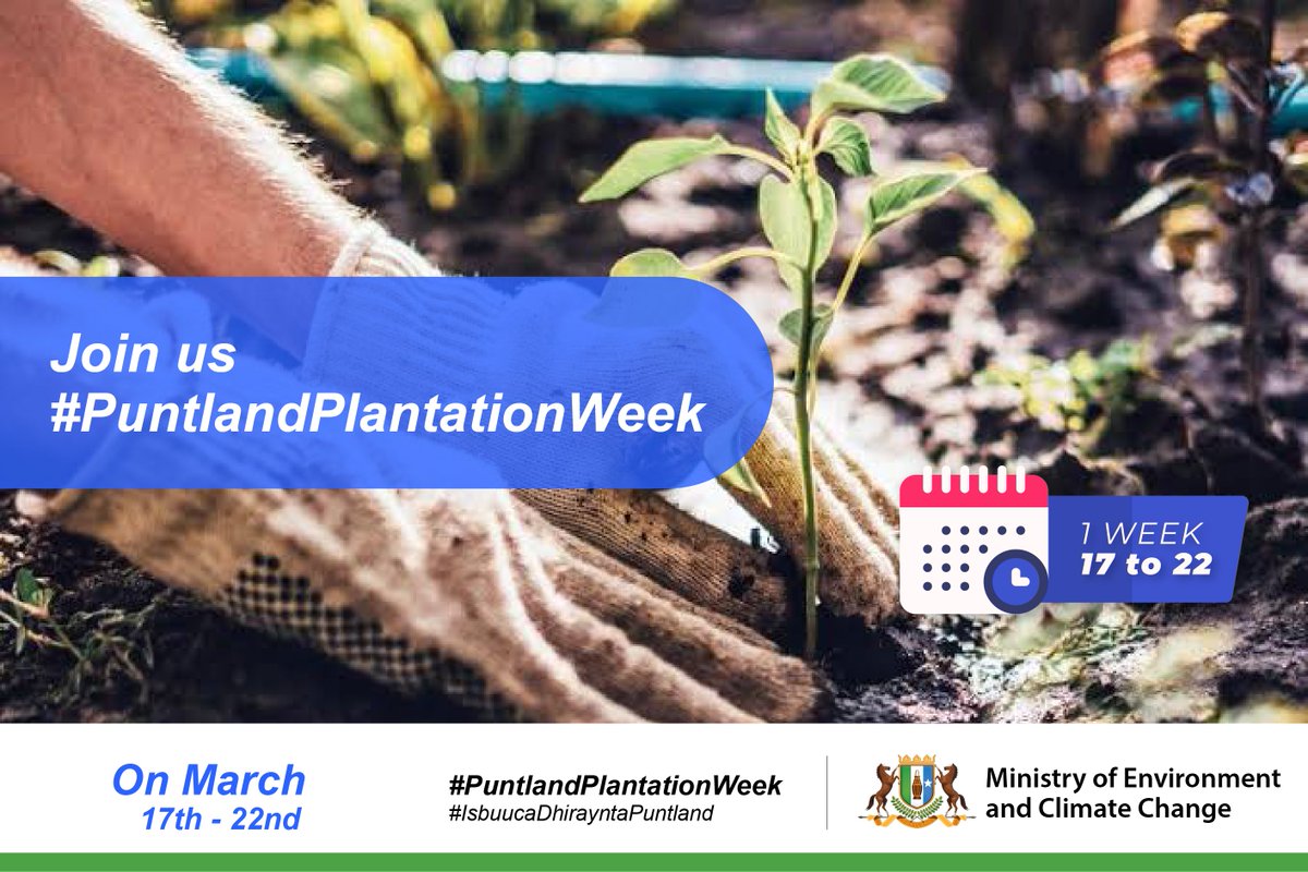 moerccpl's tweet photo. 🌱🌍 Join us for #PuntlandPlantationWeek and be a part of the green revolution! Let's plant seeds of change together and nurture a sustainable future for our planet. Every tree counts, every action matters. Are you in? 🌳💚 #ClimateAction #TreesPlantation https://t.co/f4VMlHw6cD