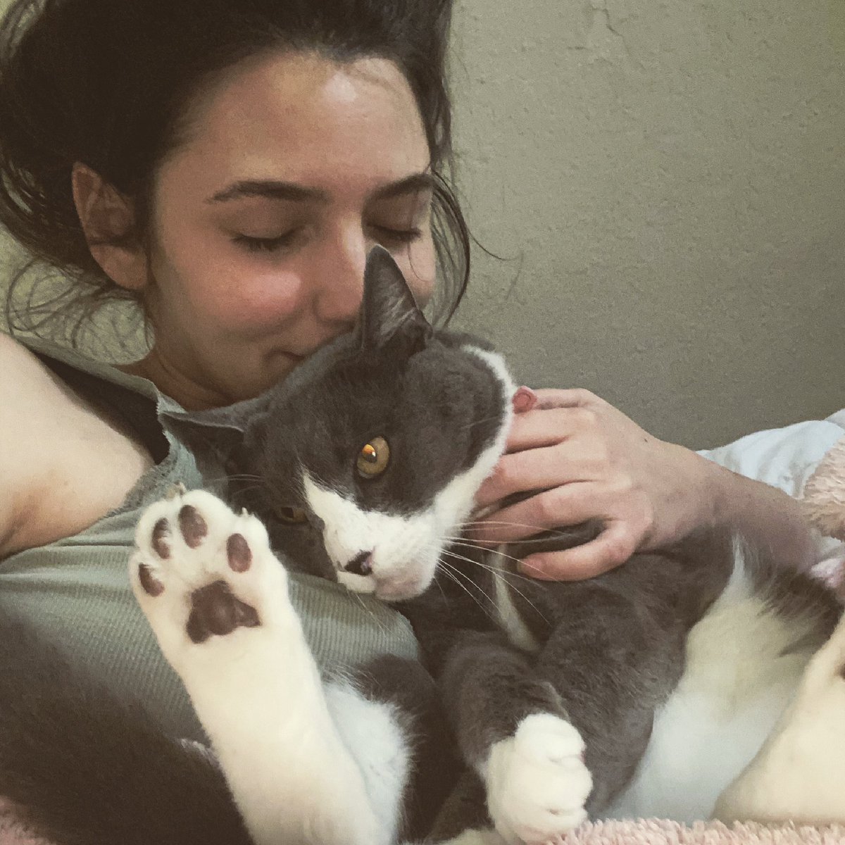 ModeratelyMused's tweet photo. @j_schottstaedt @ask_aubry I don’t know what that is but I’m happy to finally get a win so ty. I’d like to also thank my cat, for without her I never could have learned to be so okay not knowing literally anything but somehow still full of self love #RIPlolo https://t.co/BUfhLACYvq