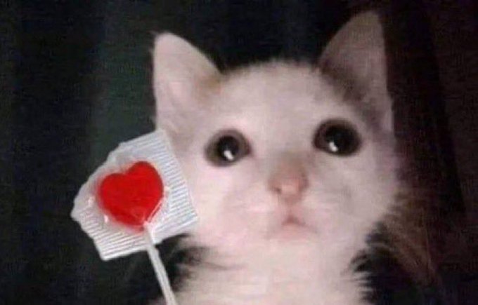 i hope u have sweet dreams tn :3 https://t.co/cRKLxsRKGJ