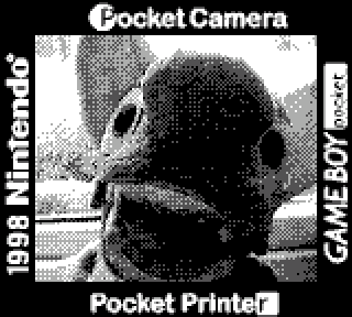 no Brand™️ April Fools content here! instead you have been visited by Game Boy Camera Laylee RT or else 👀