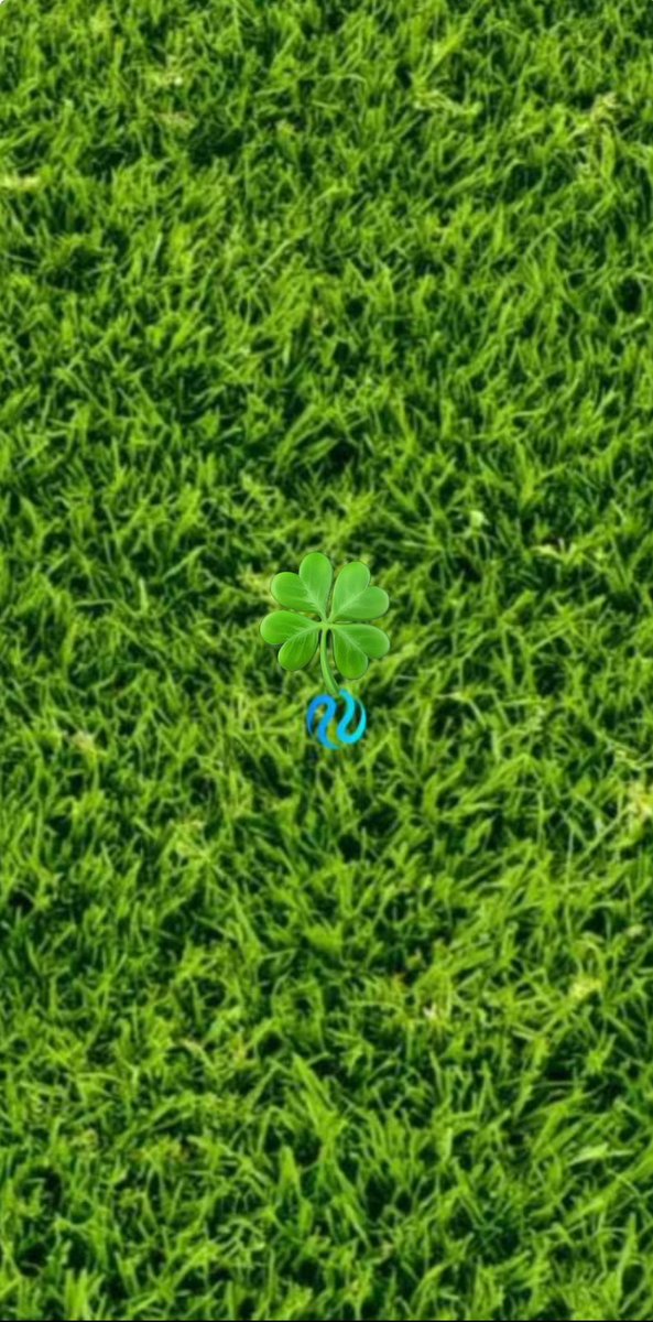 MDFoKa|BIG(1BTC)🐉|🐝 tweet media