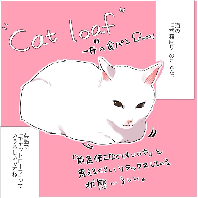 美味しい猫の話
(1/2)
 #漫画が読めるハッシュタグ
 #愛されたがりの白猫ミコさん 