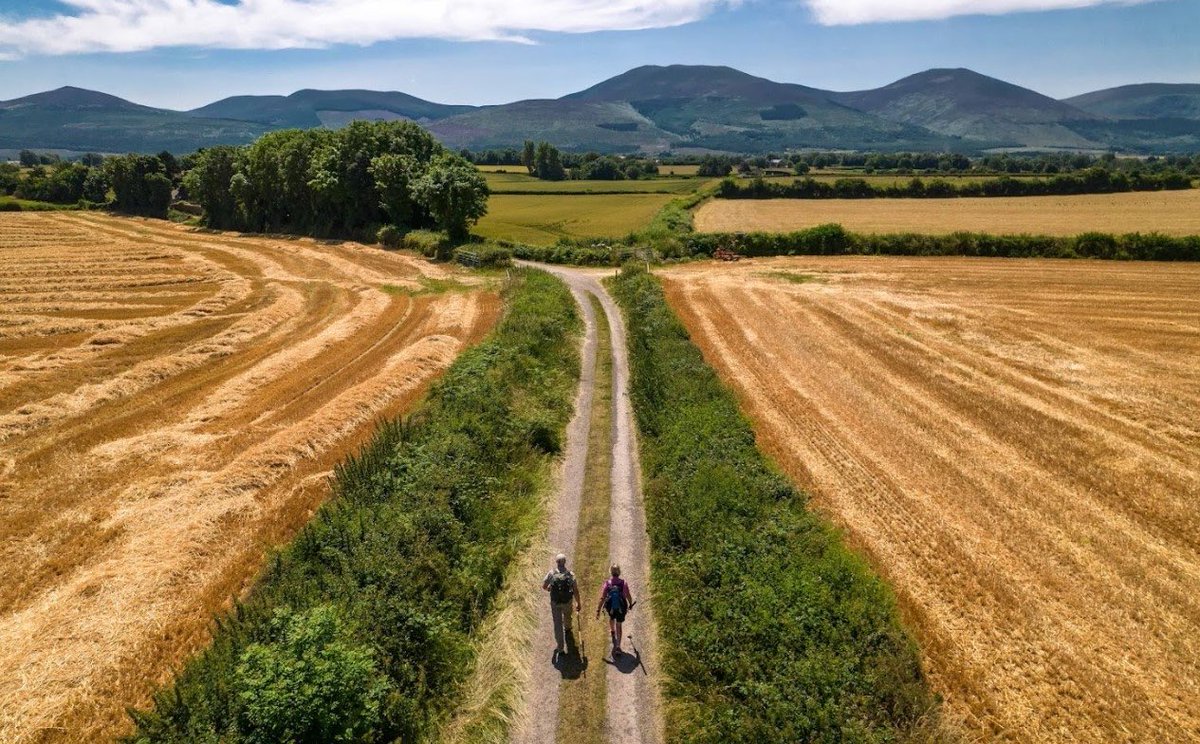 Glad be joining Gavin Jennings on the RTE News at One today to talk about the growing footfall on the Irish Pilgrim Paths, the Easter festival of Pilgrim walking taking place now and St Declan’s Way @StDeclansWay @Waterfordcamino ⁦@StKevinsWay⁩