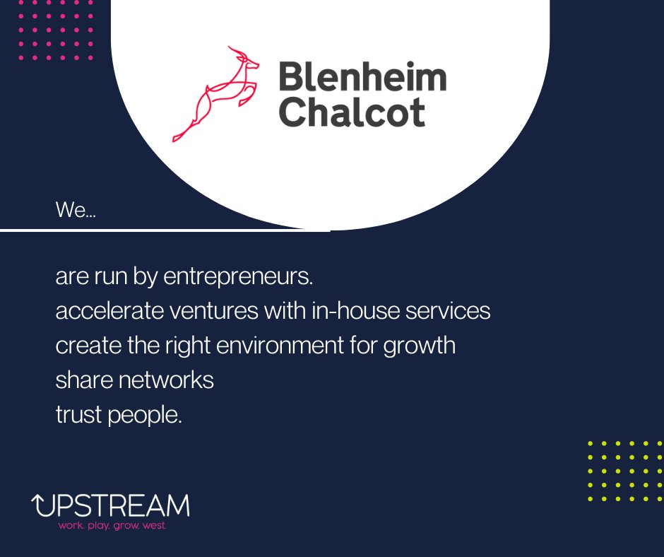 Redefining venture support, @blenheimchalcot offers more than capital to startups. 🚀 They provide a venture builder model, equipping entrepreneurs with resources, network, and expertise for success. 🌟🌱 Explore more: blenheimchalcot.com