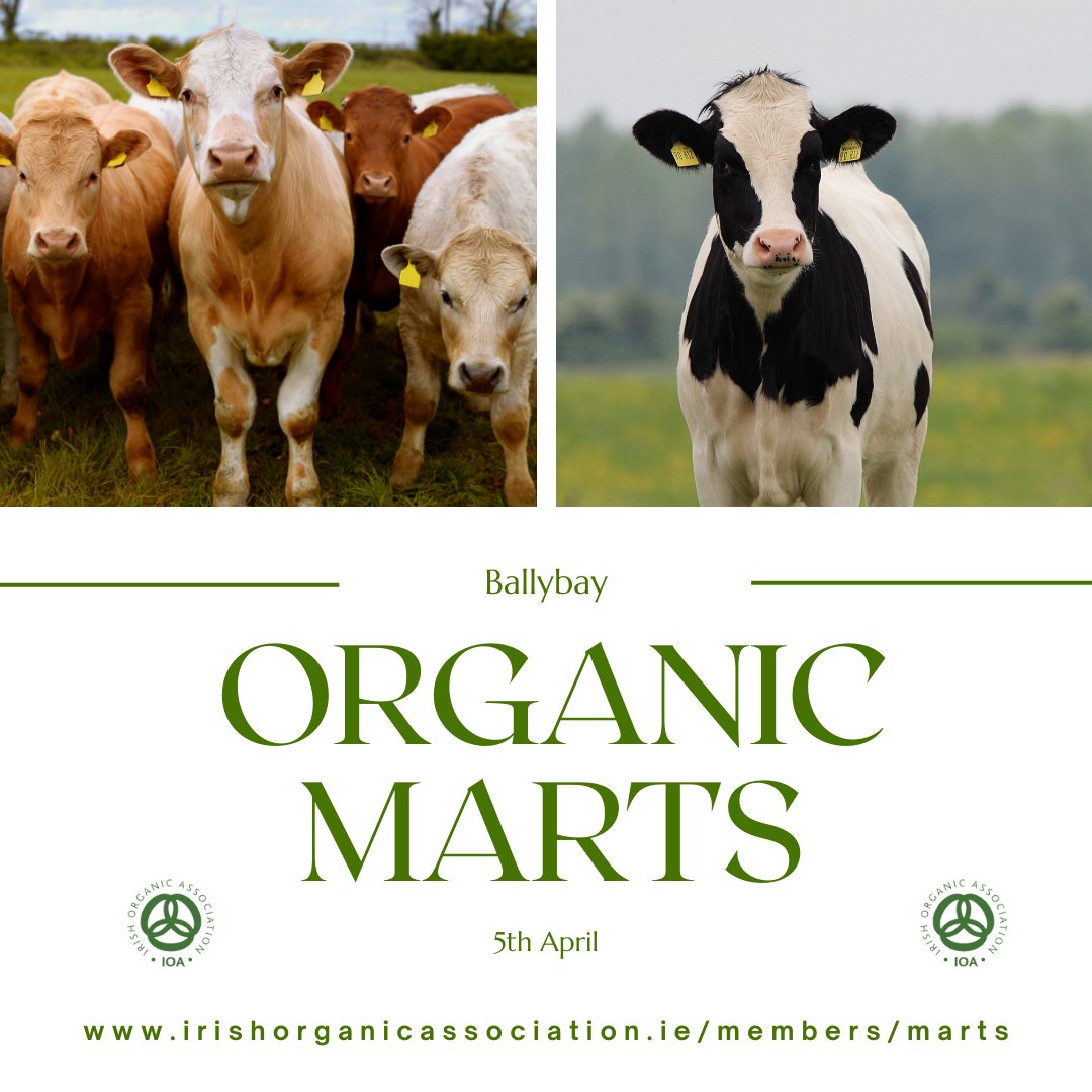 Ballybay Organic Cattle Mart is on the 5th April. 
For a full list of all organic marts in Ireland head over to our website irishorganicassociation.ie/members/marts

#demandorganic