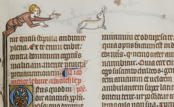 Another Easter bunny! This time, it's an escaping rabbit, from a breviary or prayer book created c. 1335 for Marie de St Pol, who later founded what would become known as Pembroke College Cambridge (@pembroke1347). Now looked after by @theulspeccoll. MS Dd.5.5.