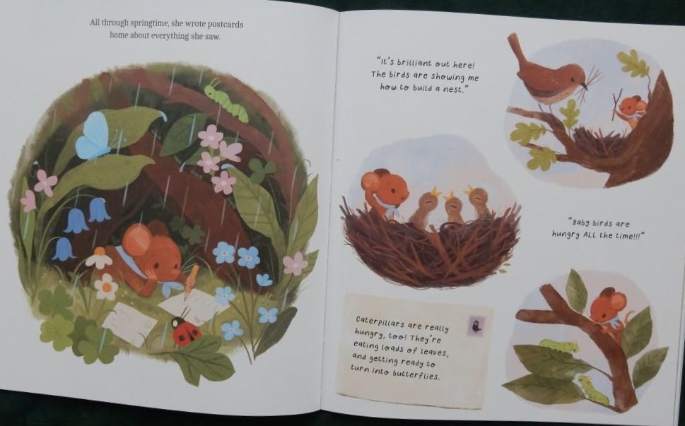 JillBennett18's tweet photo. Littlest dormouse Flora sets out into the wide world to find answers to a plethora of questions: see what she discovers in #ImNotSleepy @raahatkaduji @scholasticuk #alisongreenbooks - it’s #RedReadingHub’s #picturebook of the day reviewed on the blog https://t.co/TXKN1BJdLn https://t.co/7KNgZsLAaM