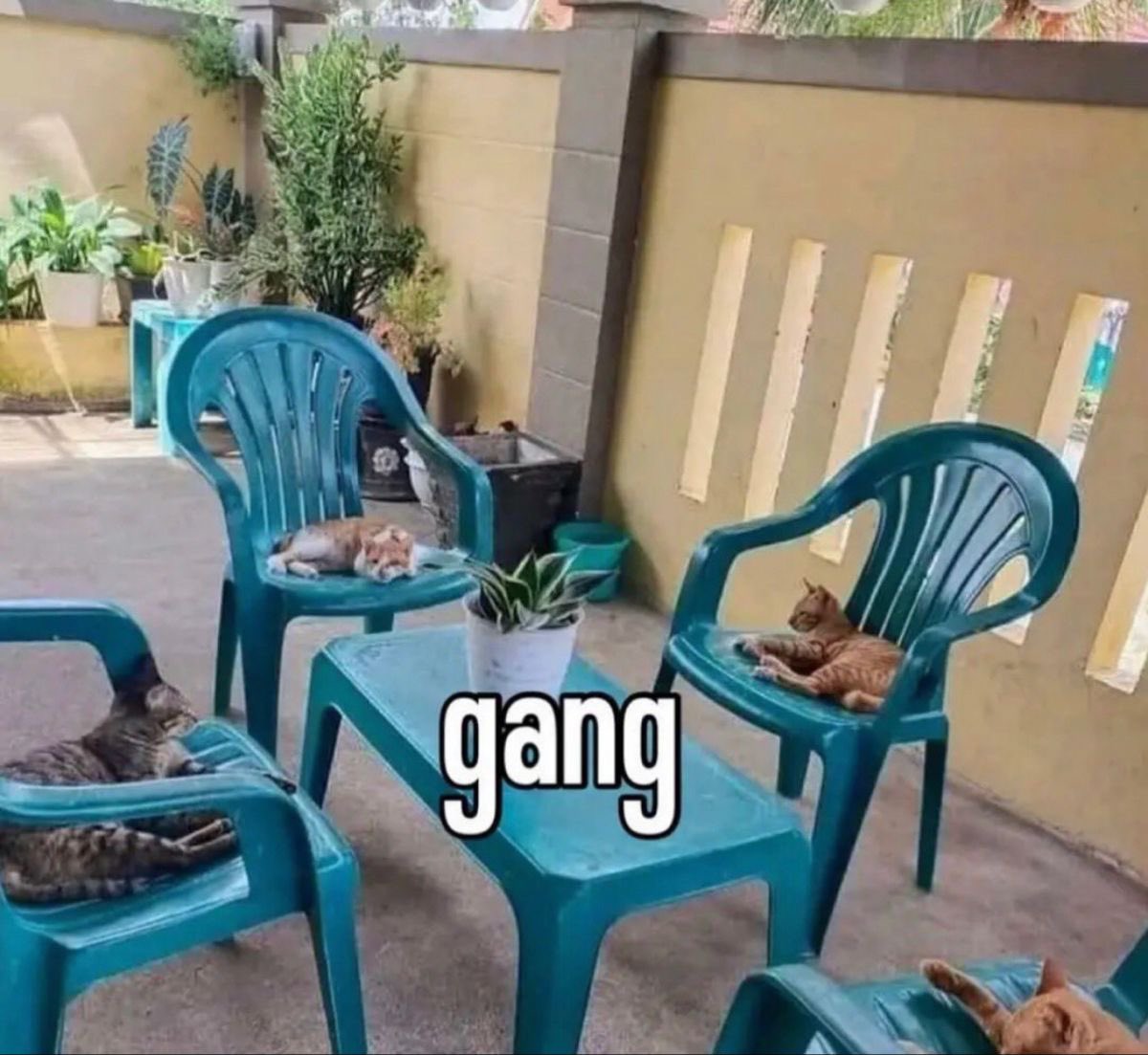 𝐦i𝐓𝗒⋆ॱ tweet media