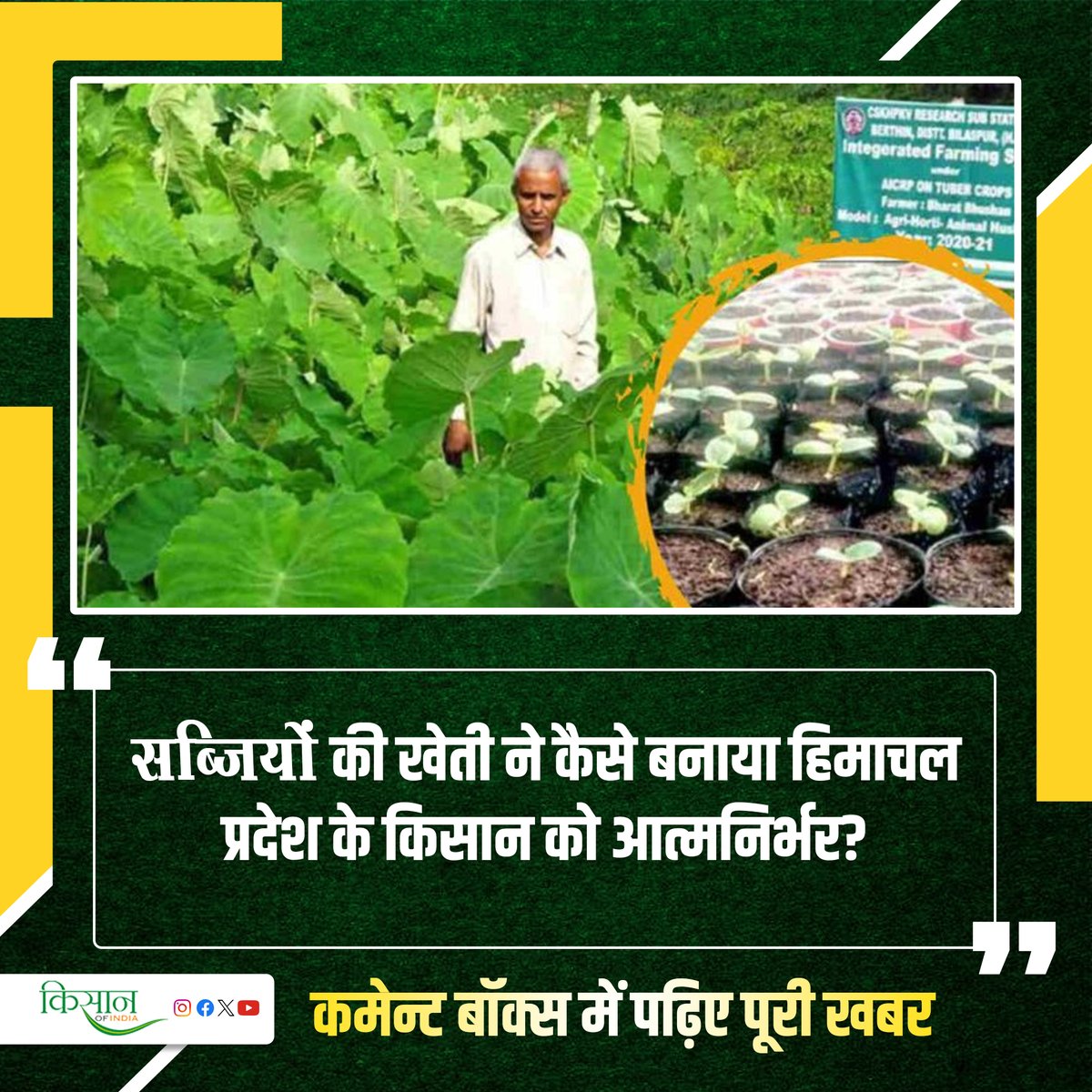 आधुनिक तकनीक के माध्यम से सब्जियों की खेती किसानों के लिए अधिक फ़ायदेमंद 

#KisanOfIndia #Agriculture #ViralStory #VegetableFarming #HimachalPradesh #atmanirbharKisan