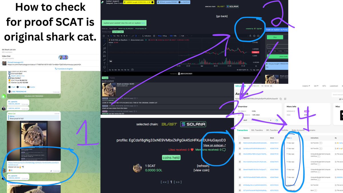 autismXBT's tweet photo. @OGsharkcat Blockchain don't lie between $SCAT and $SC but does it even matter tho fyi i had to spend like 5 min to figure it out like a retail normie ^^

https://t.co/op2ALoBapS https://t.co/Bmke3s7oHW