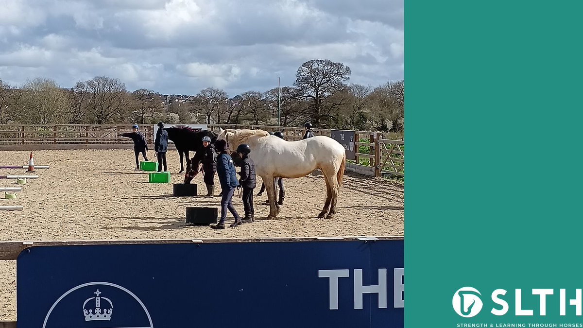 Leading the horses through obstacles takes skill, patience and practice!
Excellent work from our Park High School group!
#HealingHorses #equineassistedlearning #alternativeeducation
@parkhighnews