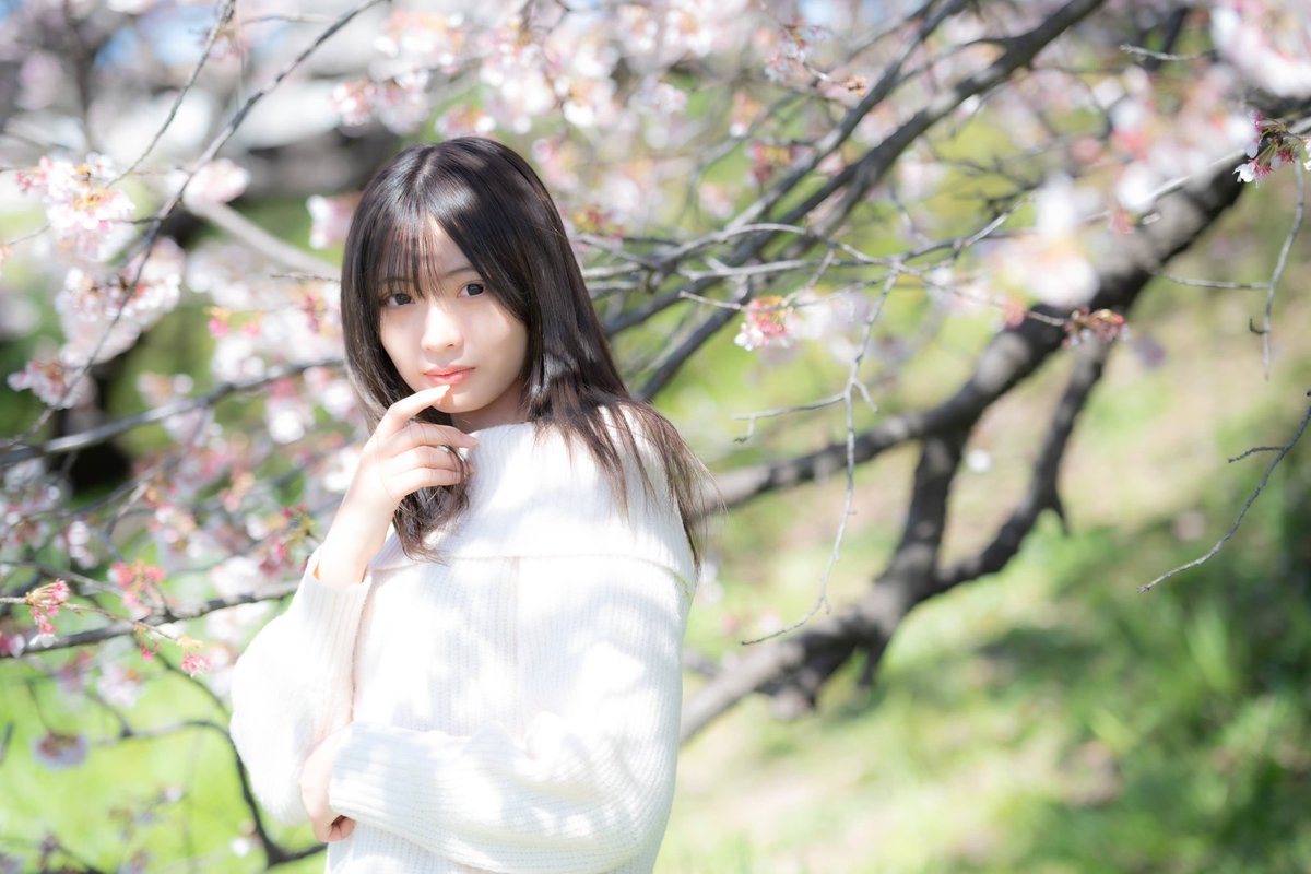 ななみさん  @nanami_partner  
寒桜 玉川エリア　
#SONYα7RIII  #NIKKOR 
@photopartnerjp  
#ポートレート #portrait   #Portrait_Photo