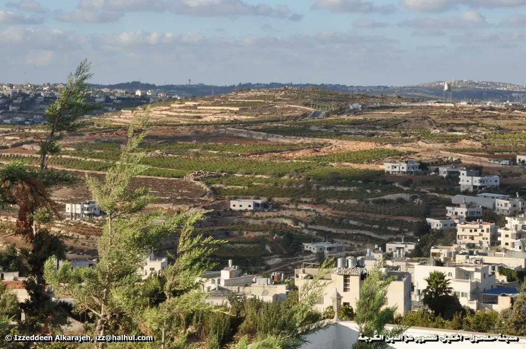 🔴Arbitraire quotidien et violence de l'occupation en #Cisjordanie. Un ami d'Halhul, paysan dans une coopérative, a été attaché menotté à son tracteur toute la nuit par des soldats israéliens. Parce qu'il avait emprunté un chemin que les soldats lui interdisent. Dans son village.