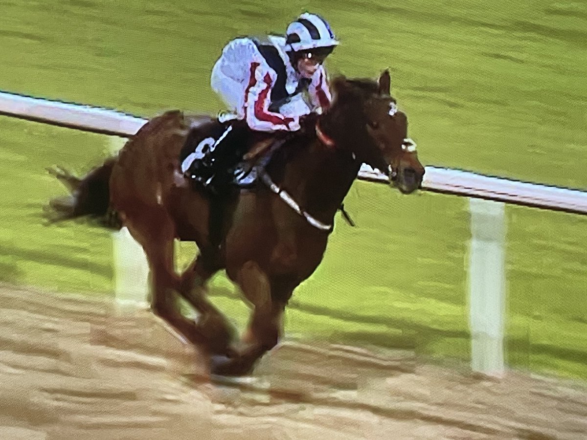 @AtTheRaces A sad but proud day - Fieldsman has his final race @WolvesRaces today. ‘Charlie’ 100+ races pure class. @sfracingclubuk @AWCarrollracing @Sarah_bow1