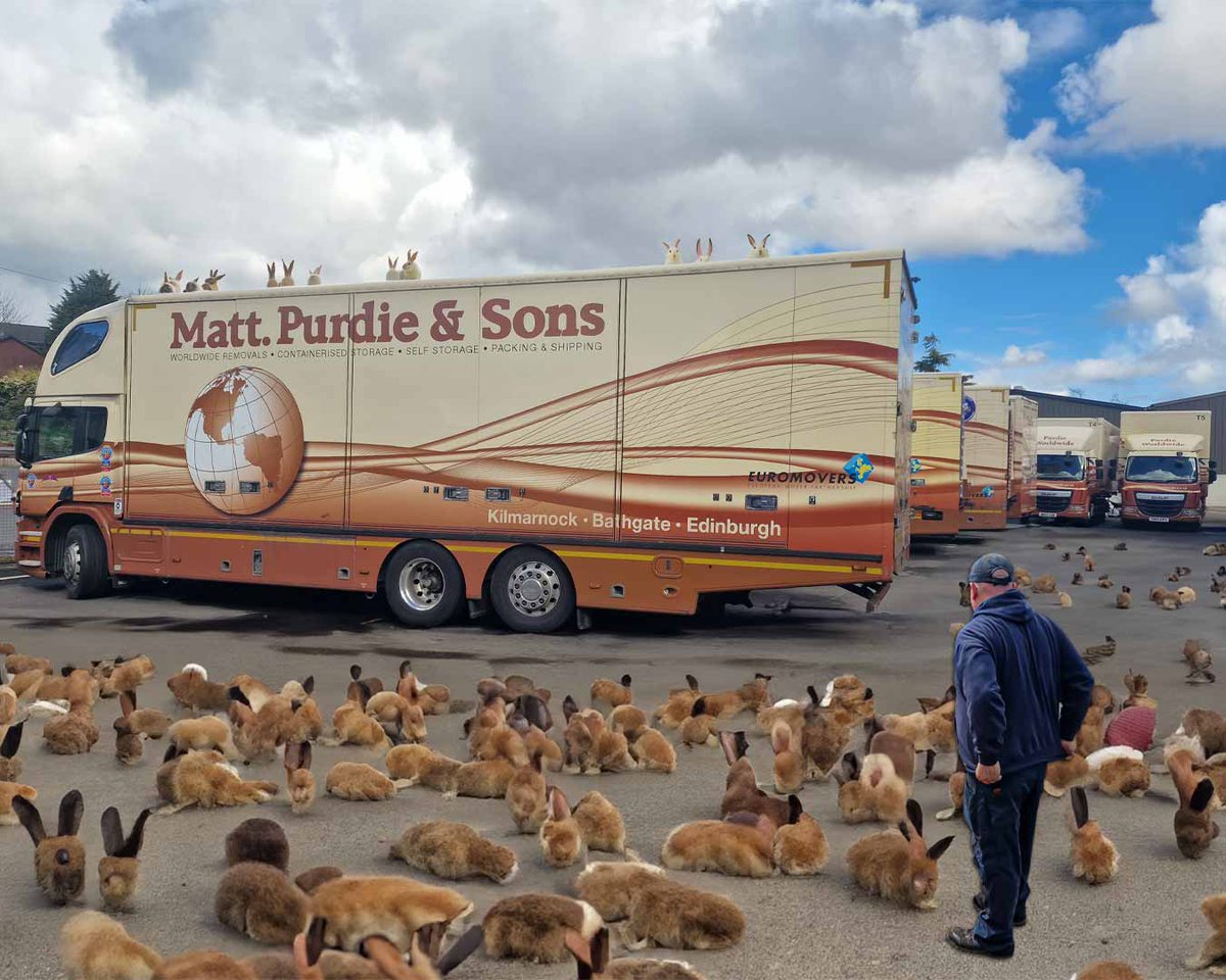 Although we are open on this bank holiday today, please be patient with us! It would appear our chief mechanic didn't manage to keep the rabbits apart over the weekend, and now we've got an infestation to contend with! Please drive carefully if you're passing our yard, this