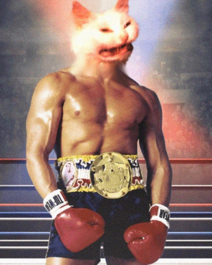 $KOT
Almost 1M in volume and sitting at #26 on trending dex right nowwwwwww
higherrrrrrrrr
$kot $kot $kot