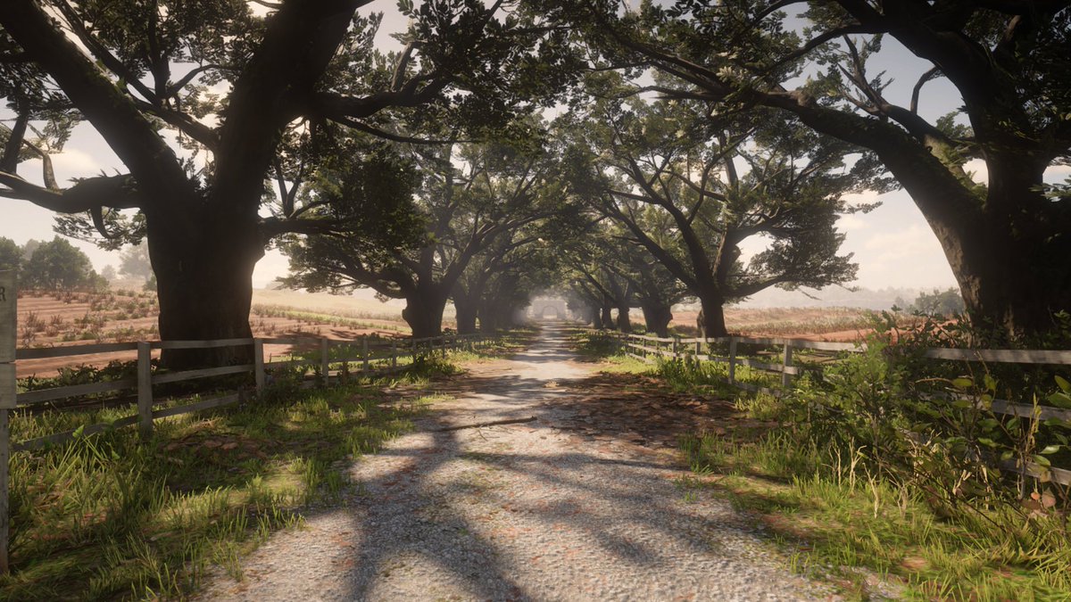 These trees remind me of the trees on the kingsroad in game of thrones 

#RedDeadRedemption2
#VirtualPhotography #VGPUnite #VPEclipse
#TheCapturedCollective #ArtisticofSociety #WorldofVP #ZarnGaming #GamerGram #VPRT #PhotomodeMonday