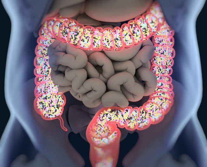 Tu médico no te ayudará a curar tu intestino, pero yo sí. Si quieres arreglar tu salud intestinal en 7 sencillos pasos, lee esto: