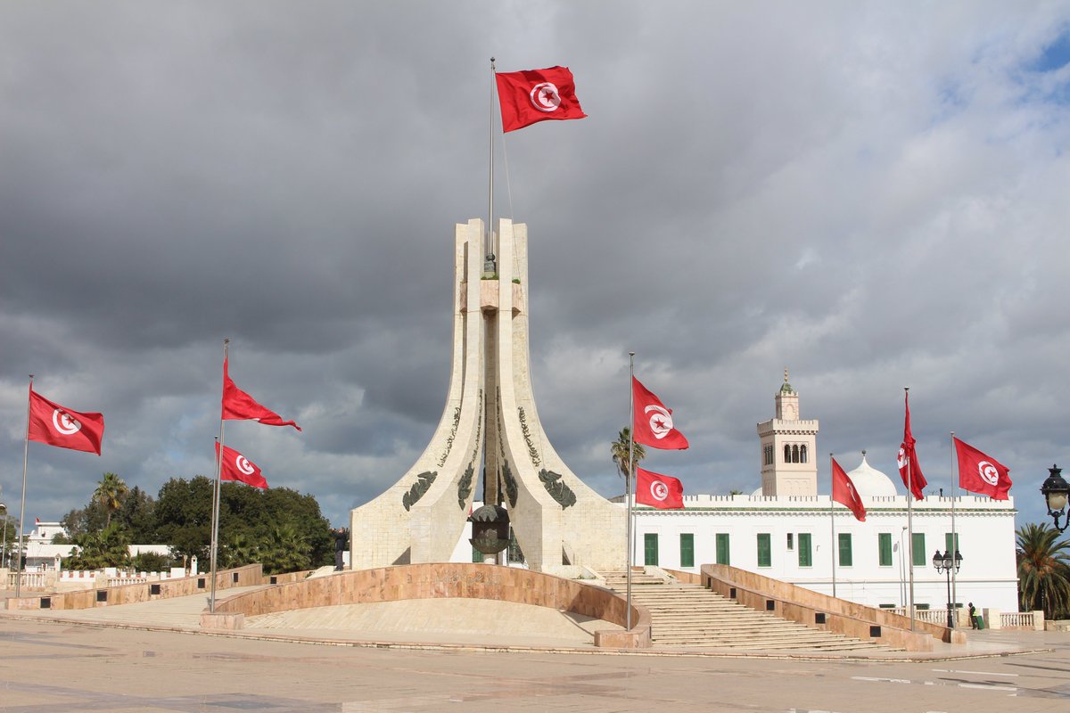 A stopover in Tunisia with visits to the ruins at Carthage and the souqs in the Tunis medina. #Tunisia #Africa