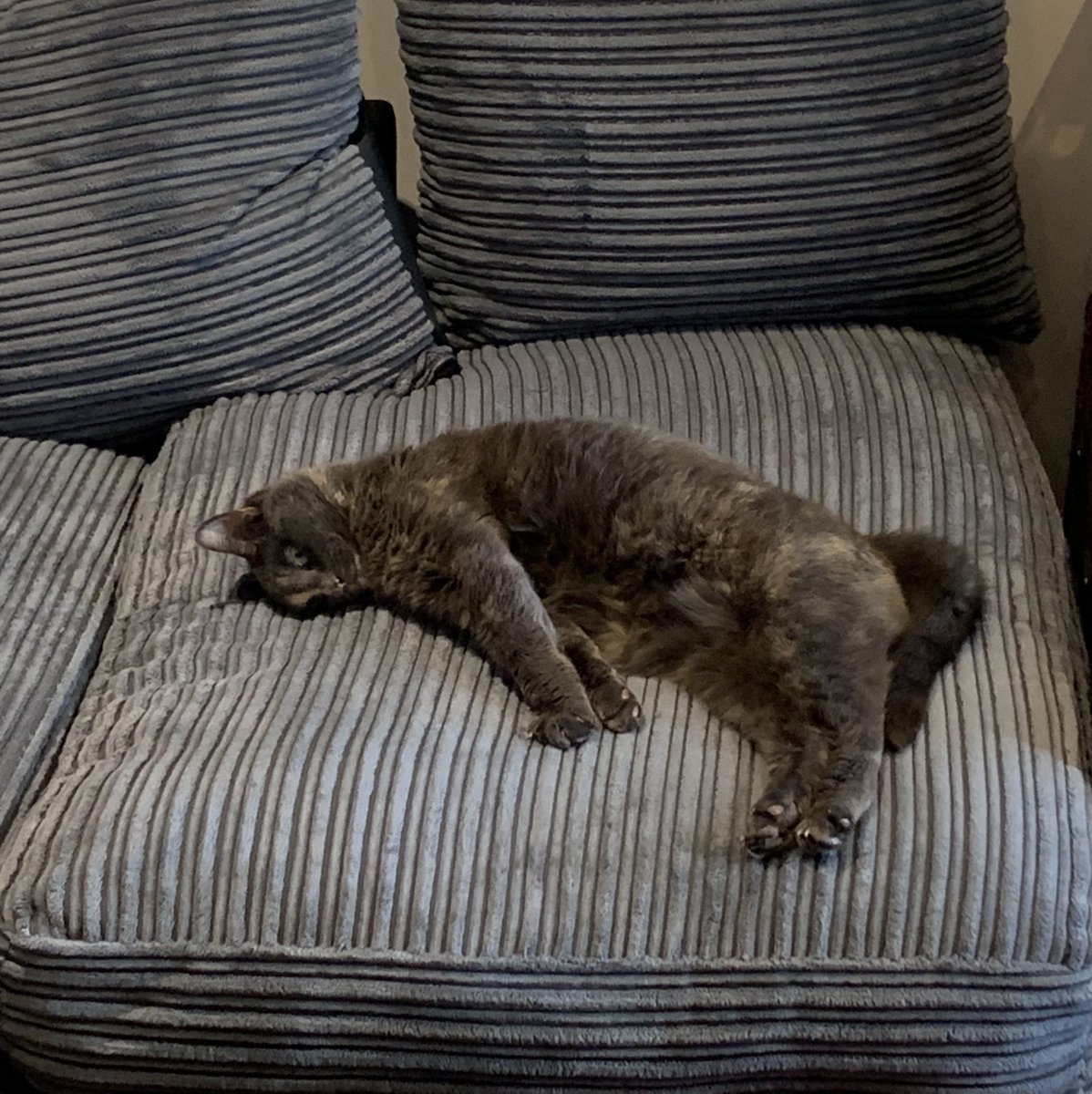 Resting after a tough Easter weekend!