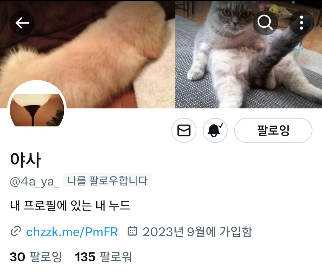 좋아해ㅎ tweet media