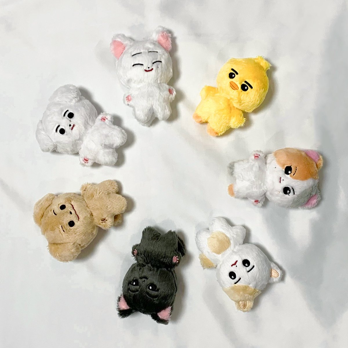 🇵🇭 PH GO ; #TMPH_GOs 10cm ennimalz ; enhypen dolls by @en_nimalz