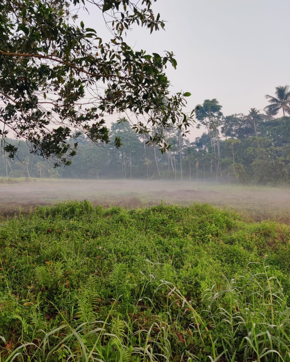 Embracing food security means cultivating resilience, sustainability, and community empowerment. Let's dig deep, plant seeds of change, and grow communes that nourish both body and planet. Together, sow the roots of a brighter, greener future! #FoodSecurity #EcoCommunities