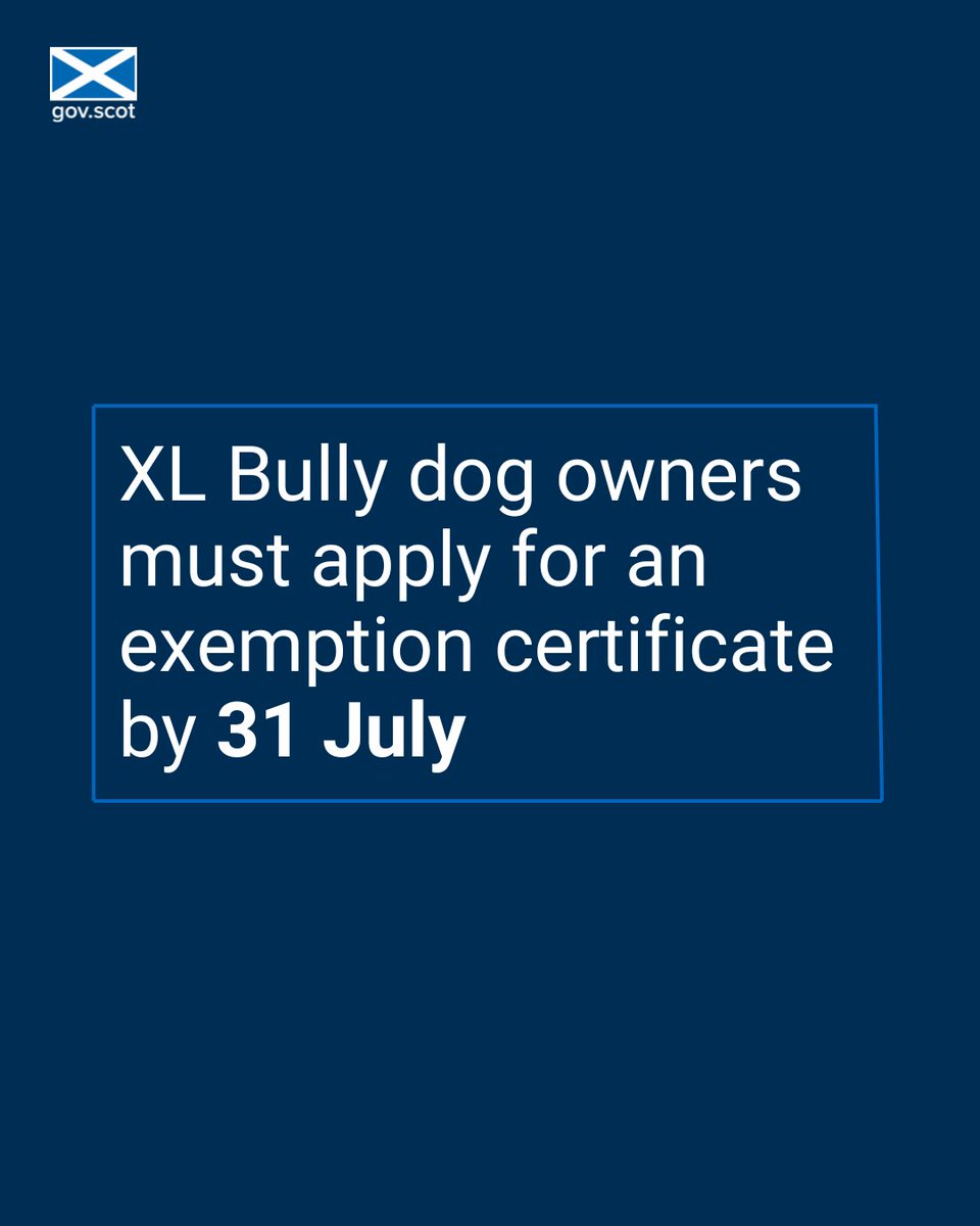 From 1 August it will be a criminal offence to own an XL Bully dog without an exemption certificate. Online applications for certificates close at midnight on 31 July. Find out more: gov.scot/news/xl-bully-…