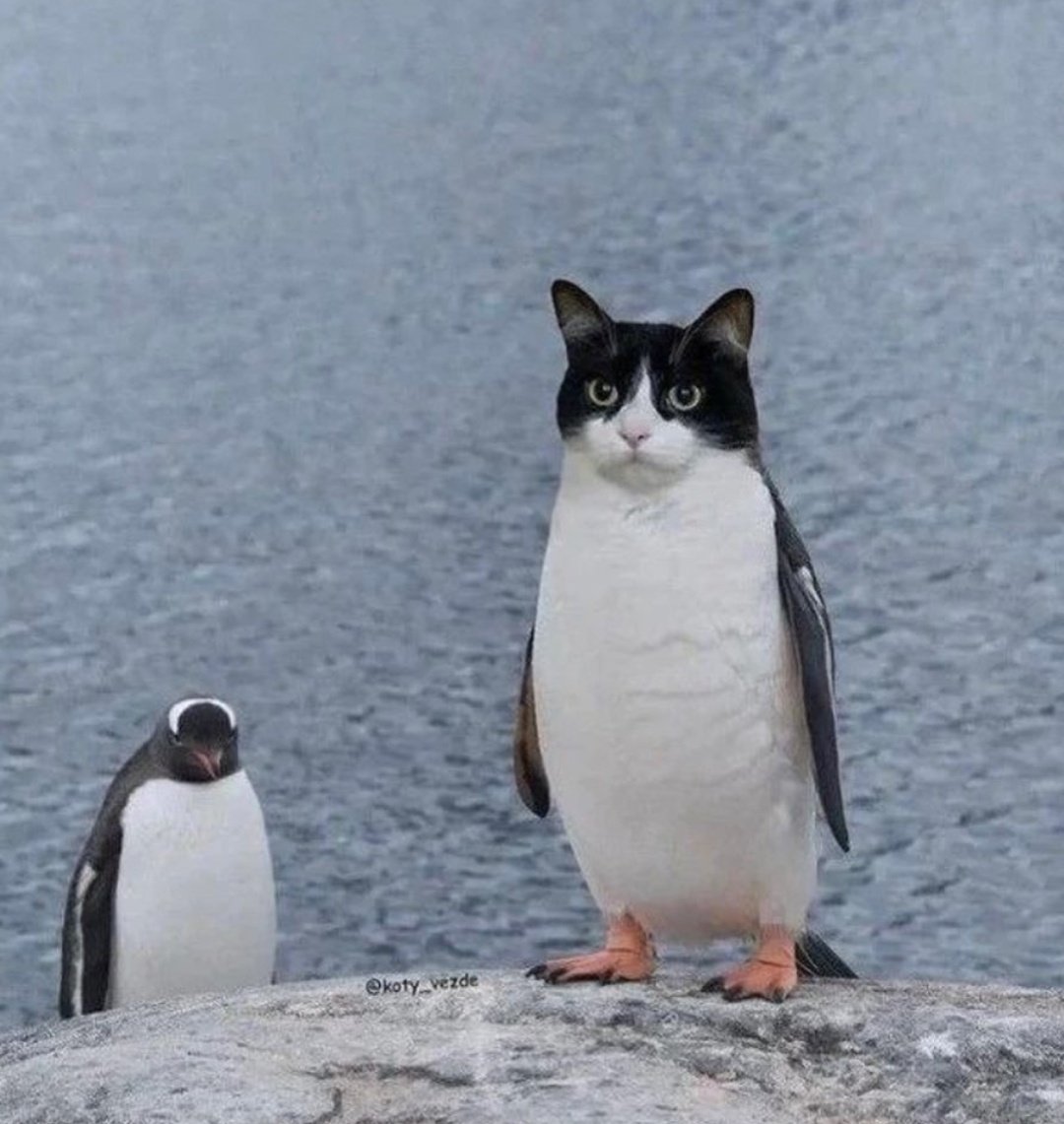 Auntie Balljob the Sourdough Lover tweet media