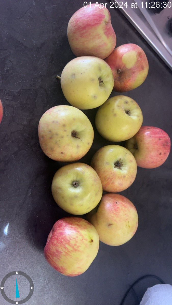 Good Morning <a href="/CheckersSA/">Checkers</a> team

Please can the team that select the Fruit on delivery orders check the quality.

More than 70% of the Apples bought via the app was not good quality 

These were ordered this morning via the Sixty60 App ..
