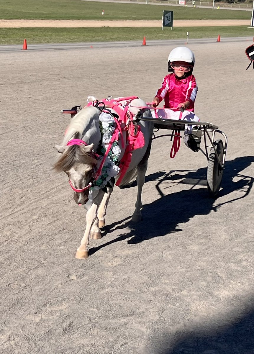 Midget Mini Trotting Champion at this years NSW Mini Trot Championships. 

Extremely proud of how she handled her boy all weekend. Drove him a treat!