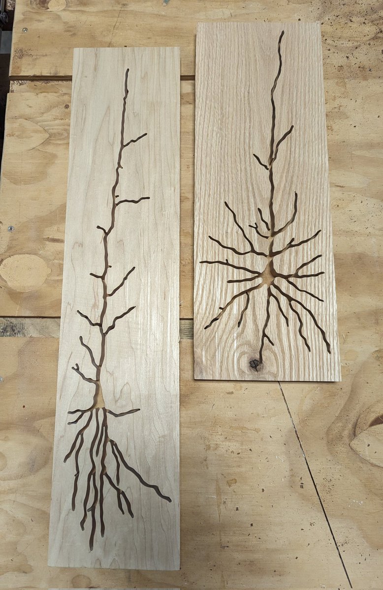 I have these two van economo #neurons cutouts that I can epoxy or sell as is. Please let me know if you are interested.
