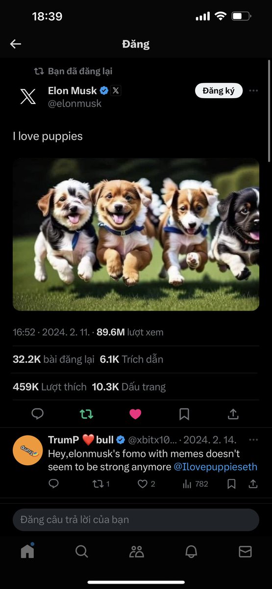 Son tweet media
