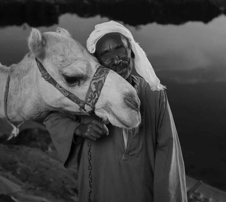 Aucune beauté ne brille plus que celle d’un bon cœur.
